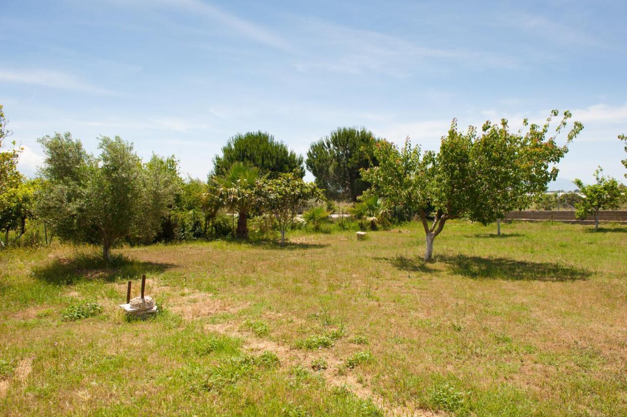 Olives Estate Apartments Grande Preveza Exterior foto